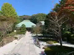 浄妙寺の建物その他