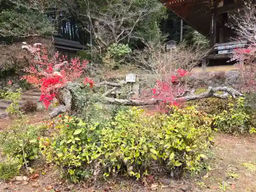 弘仁寺(奈良県)