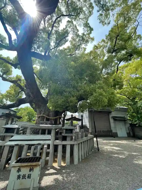 杭全神社の自然