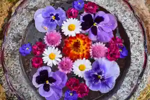 尻岸内八幡神社の手水舎(2024年06月17日(月) 00時21分18秒投稿)