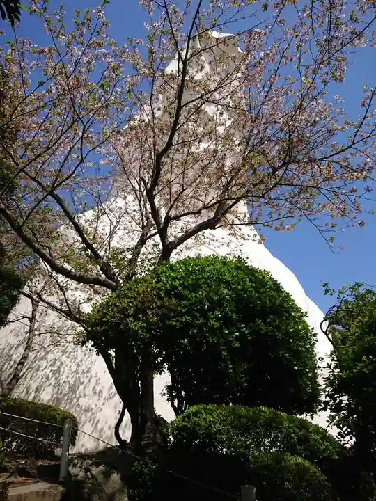 大船観音寺(神奈川県)