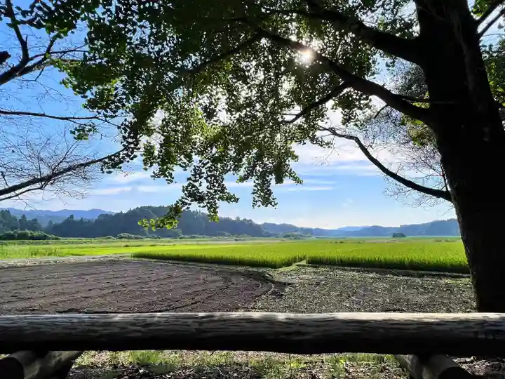 檍神社(鹿児島県)