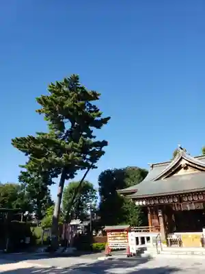 中野沼袋氷川神社(東京都)