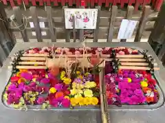 下谷神社の手水