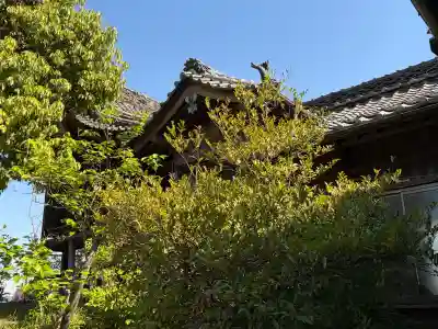 下曽根荒神社の{uncategorized: "未分類", other: "その他", undefined: "問題あり", building: "その他建物", grave: "お墓", sacred_gate: "鳥居", guardian: "狛犬", statue: "像", buddha: "仏像", history: "歴史", nature: "自然", garden: "庭園", animal: "動物", pagoda: "塔", temizu: "手水舎", mountain_gate: "山門・神門", sanctuary: "本殿・本堂", subordinate: "末社・摂社", art: "芸術", scenery: "景色", jizo: "地蔵", ema: "絵馬", goshuin: "御朱印", omikuji: "おみくじ", items: "授与品その他", amulet: "お守り", goshuincho: "御朱印帳", eats: "食事", festival: "お祭り", votive_dance: "神楽", shichigosan: "七五三参", wedding: "結婚式", experience: "体験その他", initially: "初詣", around: "周辺", anti_infection: "感染症対策"}