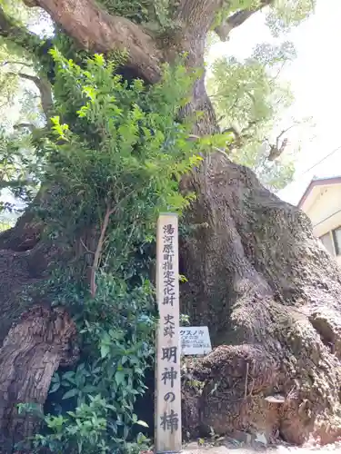 五所神社(神奈川県)