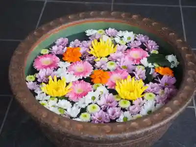 行田八幡神社(埼玉県)