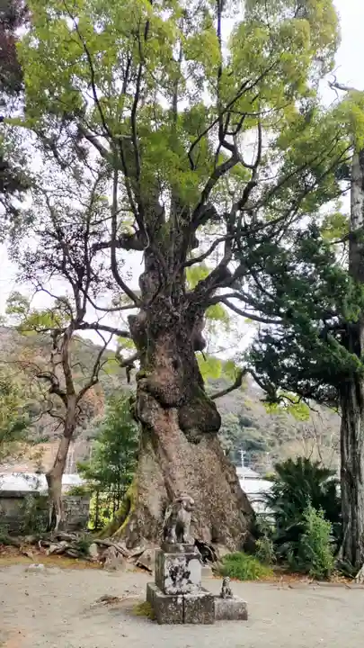 川津来宮神社(静岡県)