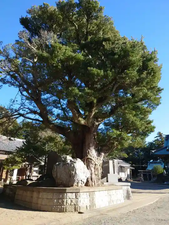 鶴谷八幡宮の自然