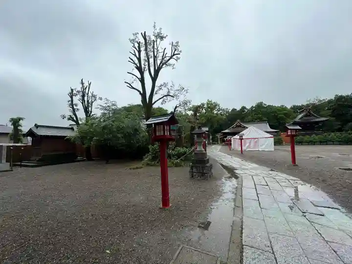 鷲宮神社(埼玉県)