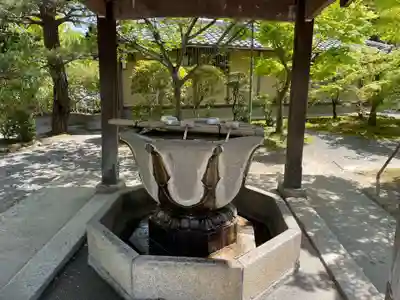 光明寺（粟生光明寺）の手水舎