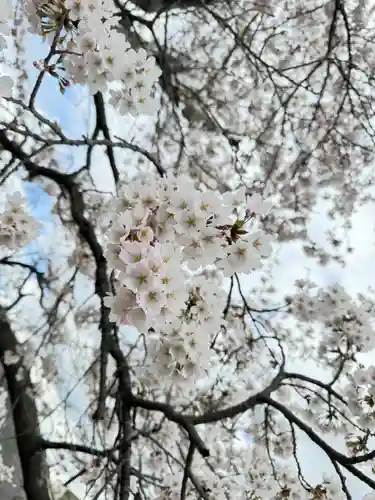 高司神社〜むすびの神の鎮まる社〜の御朱印