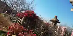 六孫王神社(京都府)