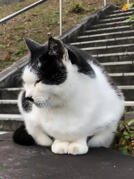 王子神社(徳島県)