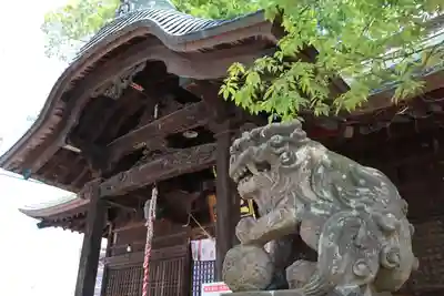 阿邪訶根神社の狛犬