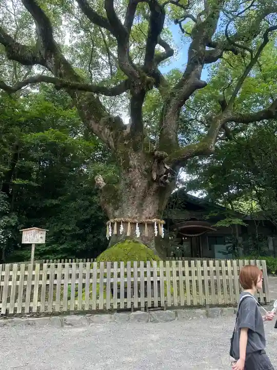 熱田神宮(愛知県)
