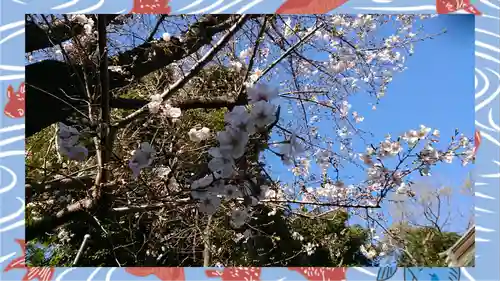赤羽八幡神社(東京都)