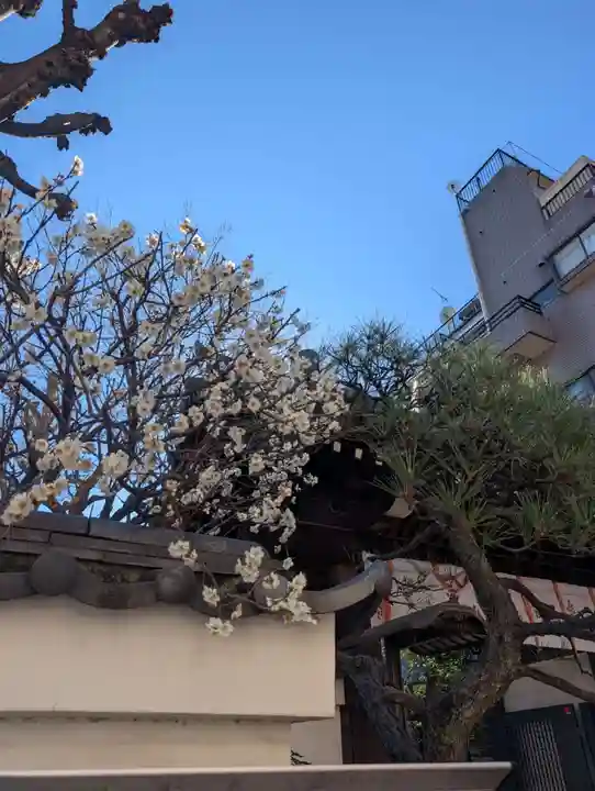 成就院(東京都)