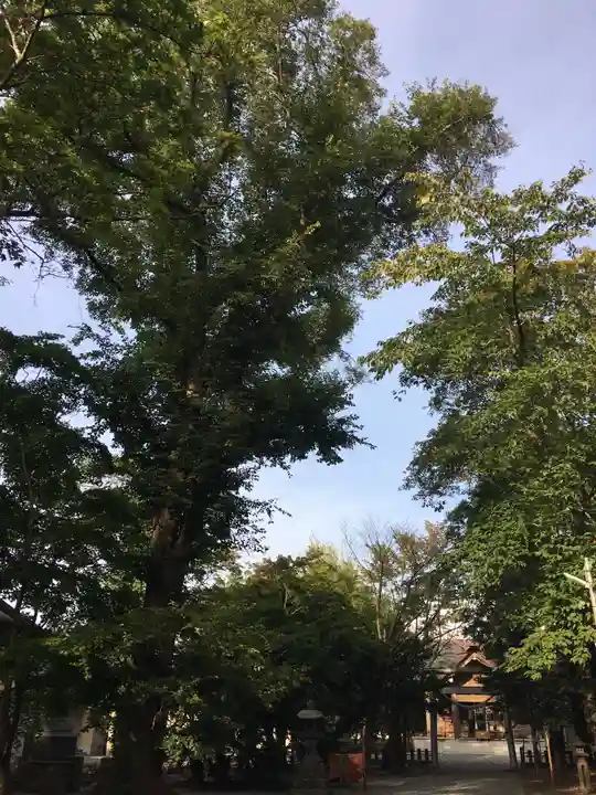 南幌神社のその他建物