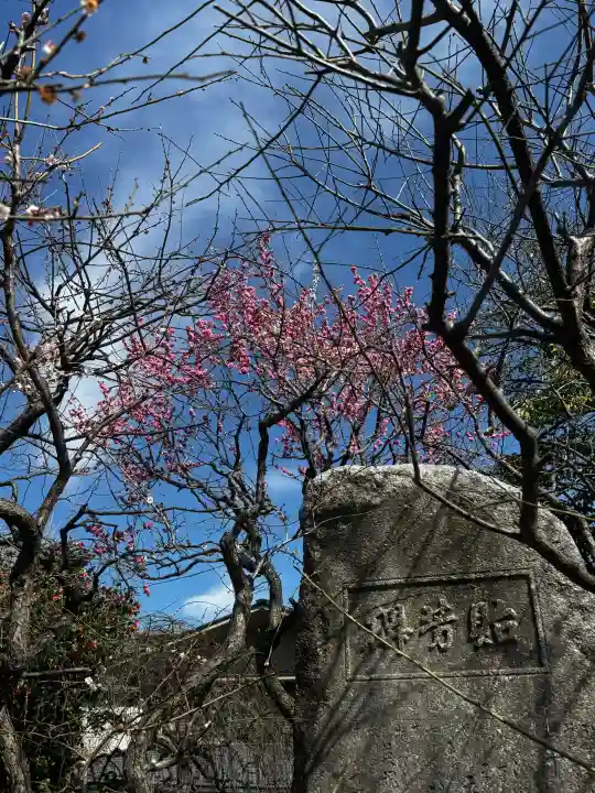 亀戸天神社の{uncategorized: "未分類", other: "その他", undefined: "問題あり", building: "その他建物", grave: "お墓", sacred_gate: "鳥居", guardian: "狛犬", statue: "像", buddha: "仏像", history: "歴史", nature: "自然", garden: "庭園", animal: "動物", pagoda: "塔", temizu: "手水舎", mountain_gate: "山門・神門", sanctuary: "本殿・本堂", subordinate: "末社・摂社", art: "芸術", scenery: "景色", jizo: "地蔵", ema: "絵馬", goshuin: "御朱印", omikuji: "おみくじ", items: "授与品その他", amulet: "お守り", goshuincho: "御朱印帳", eats: "食事", festival: "お祭り", votive_dance: "神楽", shichigosan: "七五三参", wedding: "結婚式", experience: "体験その他", initially: "初詣", around: "周辺", anti_infection: "感染症対策"}