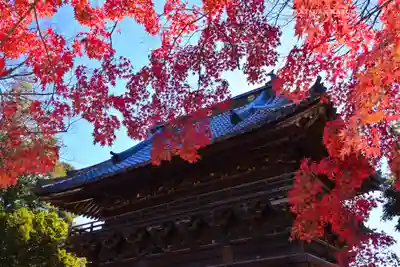 鑁阿寺(栃木県)