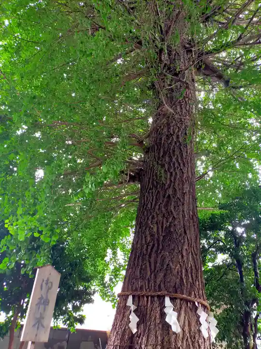 一山神社の自然