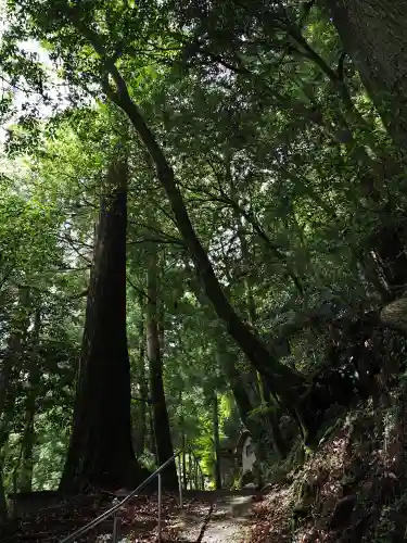 慈眼寺(徳島県)