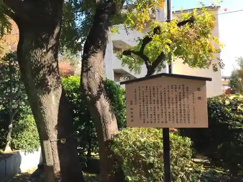 東運寺の自然