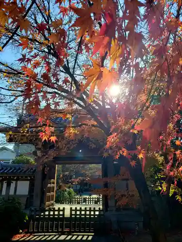 高円寺の山門