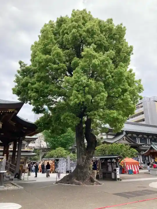 湯島天満宮(東京都)