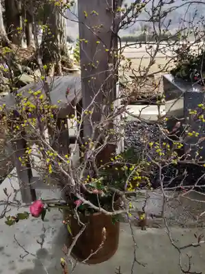 高司神社〜むすびの神の鎮まる社〜(福島県)
