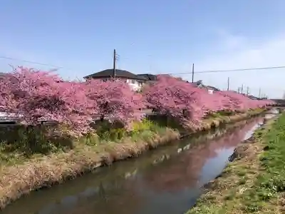 鷲宮神社(埼玉県)