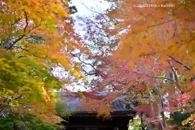 円覚寺(神奈川県)
