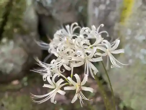 伊勢の国 四天王寺(三重県)