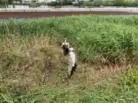 和泉國一之宮 大鳥大社の周辺