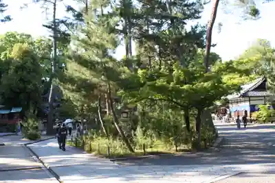 今宮神社(京都府)