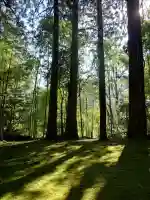 天津神社の{uncategorized: "未分類", other: "その他", undefined: "問題あり", building: "その他建物", grave: "お墓", sacred_gate: "鳥居", guardian: "狛犬", statue: "像", buddha: "仏像", history: "歴史", nature: "自然", garden: "庭園", animal: "動物", pagoda: "塔", temizu: "手水舎", mountain_gate: "山門・神門", sanctuary: "本殿・本堂", subordinate: "末社・摂社", art: "芸術", scenery: "景色", jizo: "地蔵", ema: "絵馬", goshuin: "御朱印", omikuji: "おみくじ", items: "授与品その他", amulet: "お守り", goshuincho: "御朱印帳", eats: "食事", festival: "お祭り", votive_dance: "神楽", shichigosan: "七五三参", wedding: "結婚式", experience: "体験その他", initially: "初詣", around: "周辺", anti_infection: "感染症対策"}