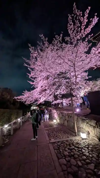 知恩院(京都府)