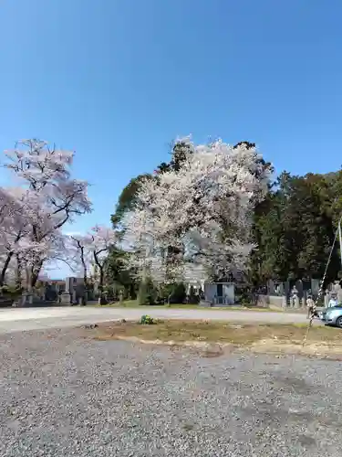長松院(福島県)