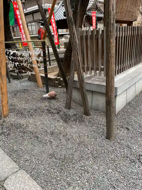 頂法寺(六角堂)(京都府)