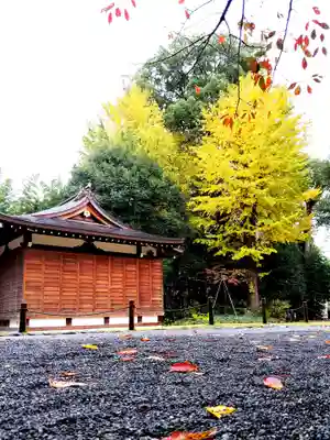 阿佐ヶ谷神明宮(東京都)