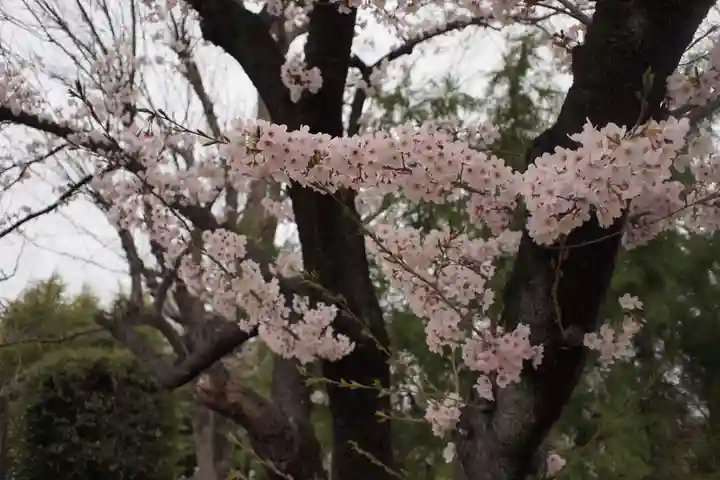 正ノ木稲荷 稲積神社の自然