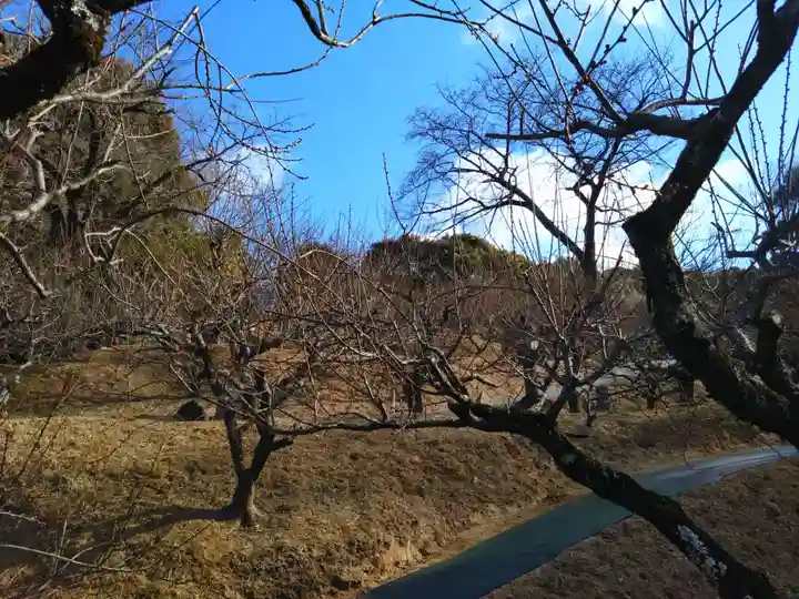岩津天満宮(愛知県)
