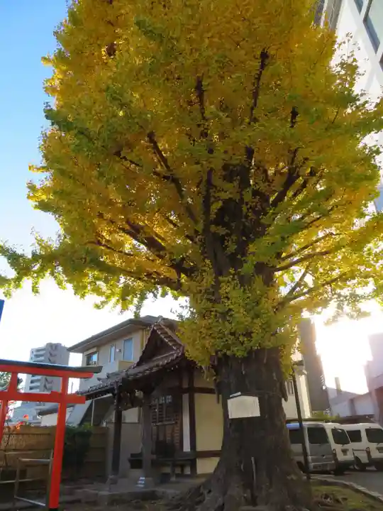 稼穡稲荷社のその他建物