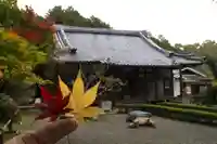 積善寺(京都府)