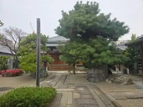 正法寺(大阪府)