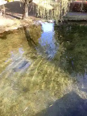 大悲閣　町屋観音堂(岐阜県)