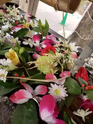 鳩森八幡神社の手水舎