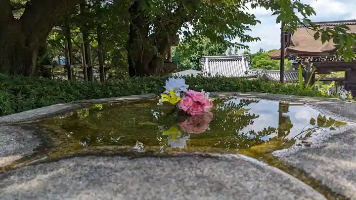 大谷本廟(京都府)