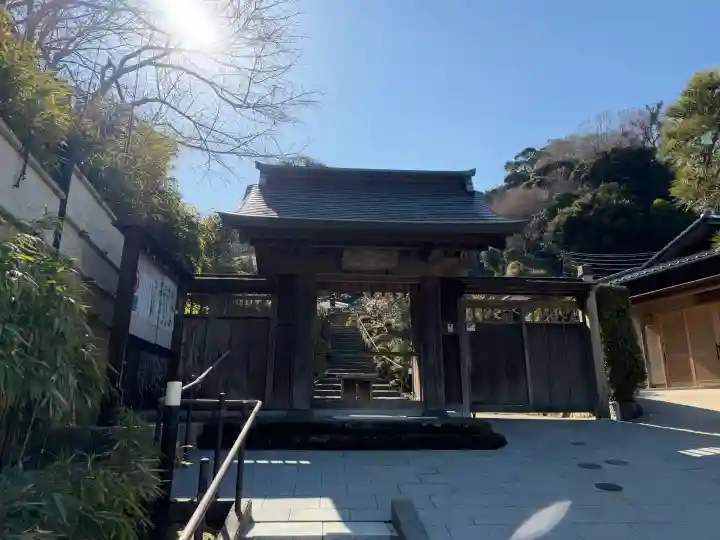 禅居院の{uncategorized: "未分類", other: "その他", undefined: "問題あり", building: "その他建物", grave: "お墓", sacred_gate: "鳥居", guardian: "狛犬", statue: "像", buddha: "仏像", history: "歴史", nature: "自然", garden: "庭園", animal: "動物", pagoda: "塔", temizu: "手水舎", mountain_gate: "山門・神門", sanctuary: "本殿・本堂", subordinate: "末社・摂社", art: "芸術", scenery: "景色", jizo: "地蔵", ema: "絵馬", goshuin: "御朱印", omikuji: "おみくじ", items: "授与品その他", amulet: "お守り", goshuincho: "御朱印帳", eats: "食事", festival: "お祭り", votive_dance: "神楽", shichigosan: "七五三参", wedding: "結婚式", experience: "体験その他", initially: "初詣", around: "周辺", anti_infection: "感染症対策"}